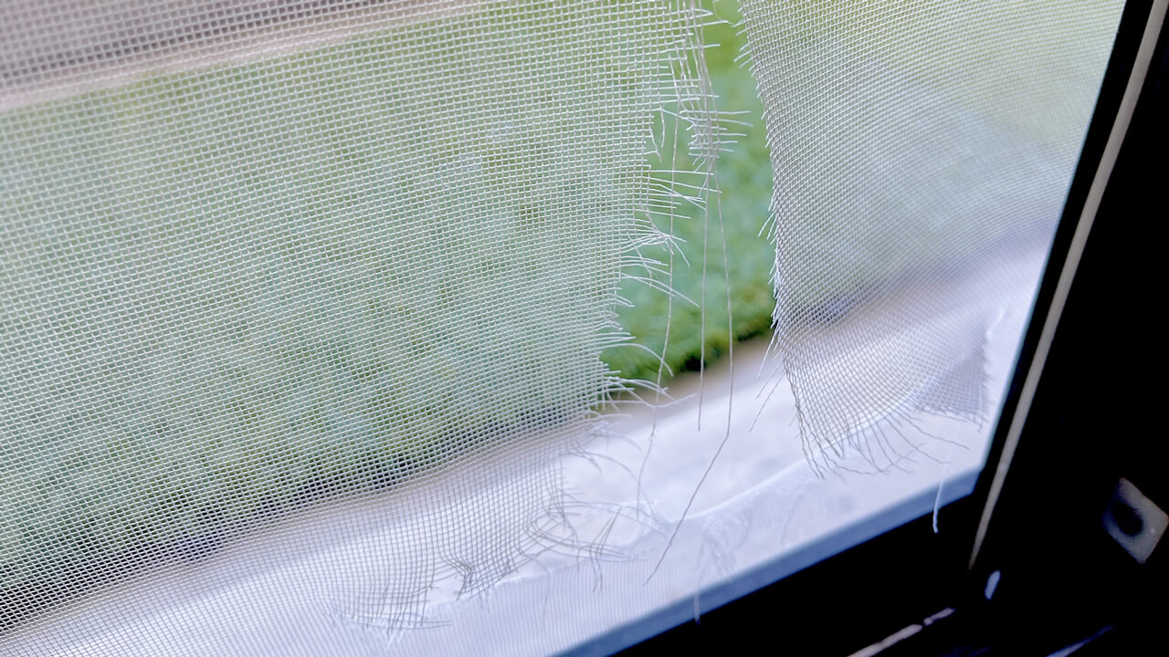破れた網戸
